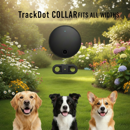 TrackDot GPS Collar Dogs (Only IOS Compatible)